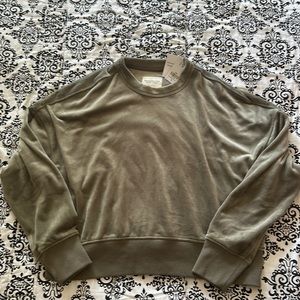 NWT velour Abercrombie crewneck